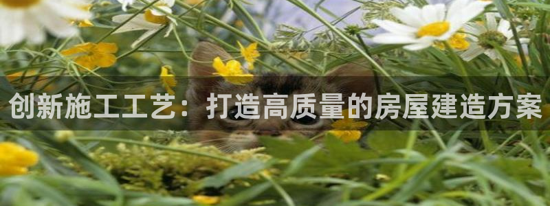 富联娱乐测速软件下载：创新施工工艺：打造高质量的房屋建造方案