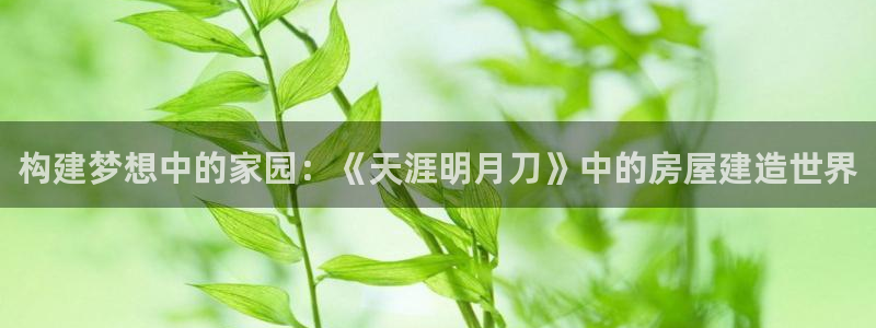 富联娱乐招商命判官333OO：构建梦想中的家园：《天涯明月刀》中的房屋建造世界