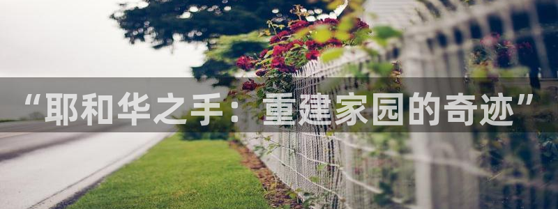 富联娱乐官网网址：“耶和华之手：重建家园的奇迹”