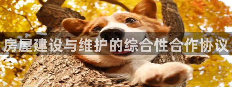 富联娱乐服务站地址：房屋建设与维护的综合性合作协议