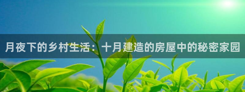富联娱乐首页官网：月夜下的乡村生活：十月建造的房屋中的秘密家园