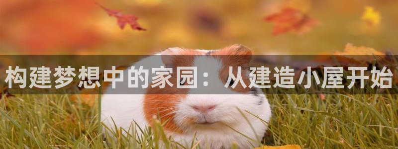 富联娱乐下载免费版官网：构建梦想中的家园：从建造小屋开始