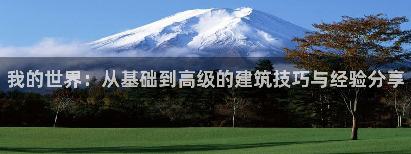 富联娱乐客户端官网下载：我的世界：从基础到高级的建筑技巧与经验分享