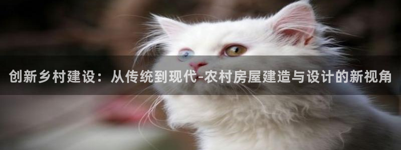 富联2娱乐注册地址在哪：创新乡村建设：从传统到现代-农村房屋建造与设计的新视角
