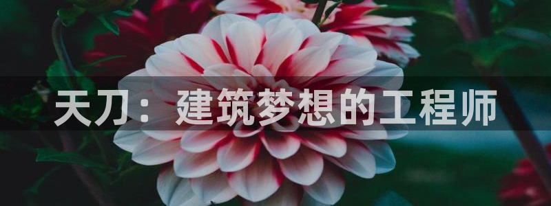 富联娱乐官方网站入口在线观看：天刀：建筑梦想的工程师