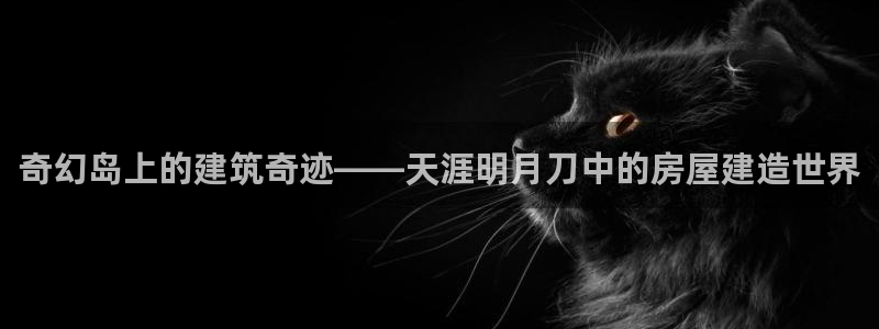 富联娱乐招商电话是多少：奇幻岛上的建筑奇迹——天涯明月刀中的房屋建造世界