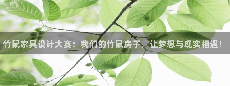 富联娱乐地址查询系统：竹鼠家具设计大赛：我们的竹鼠房子，让梦想与现实相遇！