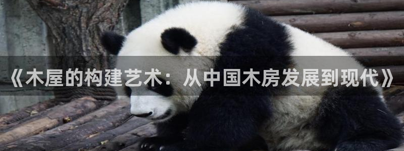富联娱乐信誉怎么样：《木屋的构建艺术：从中国木房发展到现代》