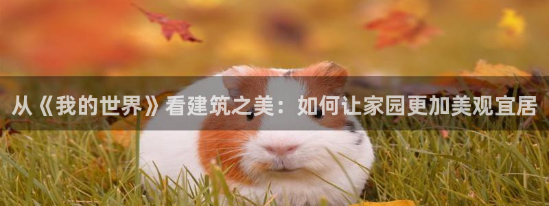 富联娱乐招商着判官333OO：从《我的世界》看建筑之美：如何让家园更加美观宜居