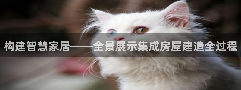 富联娱乐元哥简介图片：构建智慧家居——全景展示集成房屋建造全过程