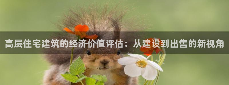 富联娱乐首页官网登录：高层住宅建筑的经济价值评估：从建设到出售的新视角