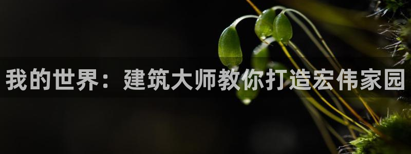 富联娱乐主管可判官333OO：我的世界：建筑大师教你打造宏伟家园