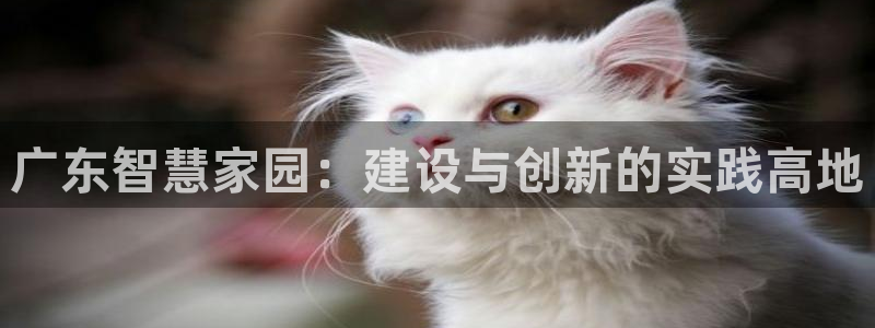富联娱乐地址查询系统：广东智慧家园：建设与创新的实践高地