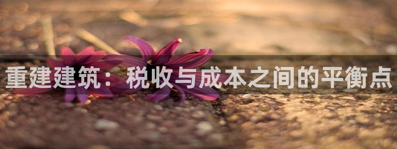 富联娱乐贴吧网站首页：重建建筑：税收与成本之间的平衡点