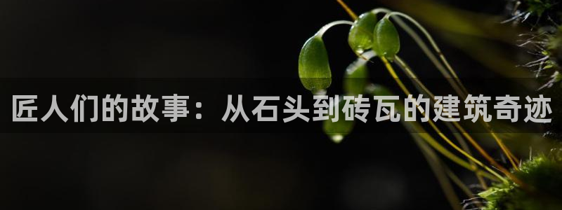 富联娱乐里拔7276O：匠人们的故事：从石头到砖瓦的建筑奇迹